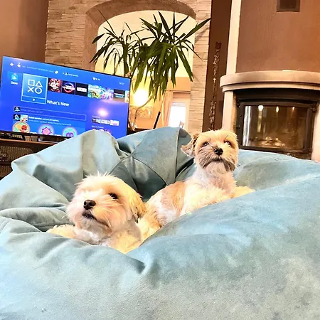 Penzion The View By Good Spot Duszniki Zdrój