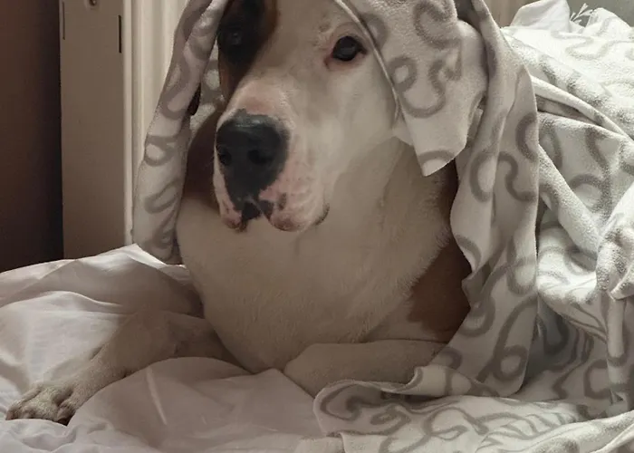 The View By Good Spot Penzion 3*